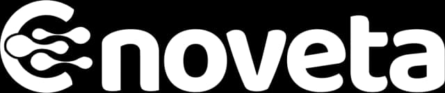 Enoveta - software, web and AI company in Rwanda
