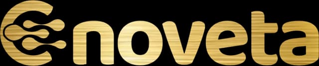 Enoveta - software, web and AI company in Rwanda